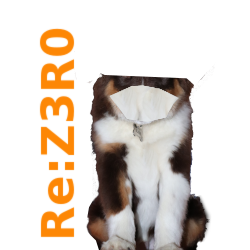 Corps du chien sans tête